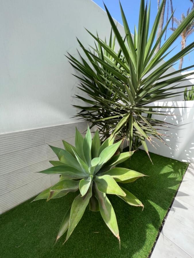 Corralejo Bristol Terrace Apartment Con Giardino Privato Esterno Exteriér fotografie