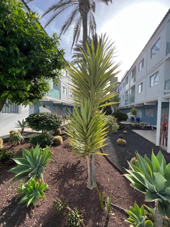 Corralejo Bristol Terrace Apartment Con Giardino Privato Esterno Exteriér fotografie